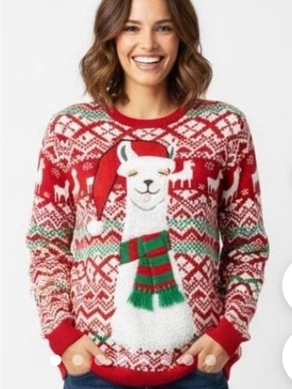 Red Holiday Llama Knit Sweater - Unbranded